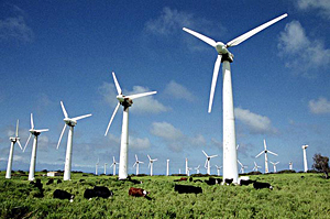 Компания Enertrag инвестирует в строительство ветропарка в Дзержинском районе около 360 млн. евро