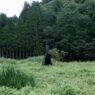 Чайный павильон Le Picabier экстерьер вид четвертый