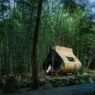 Проект Bamboo Cabin Plan: Sticky Rice Dumpling вид седьмой