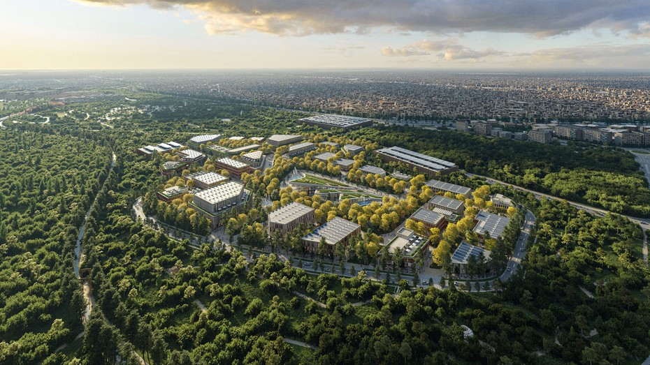 Проект Baghdad Sustainable Forests вид первый
