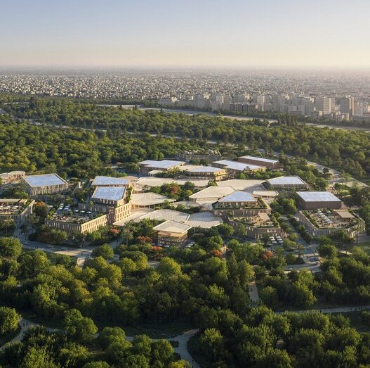 Проект Baghdad Sustainable Forests вид пятый