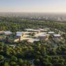 Проект Baghdad Sustainable Forests вид пятый