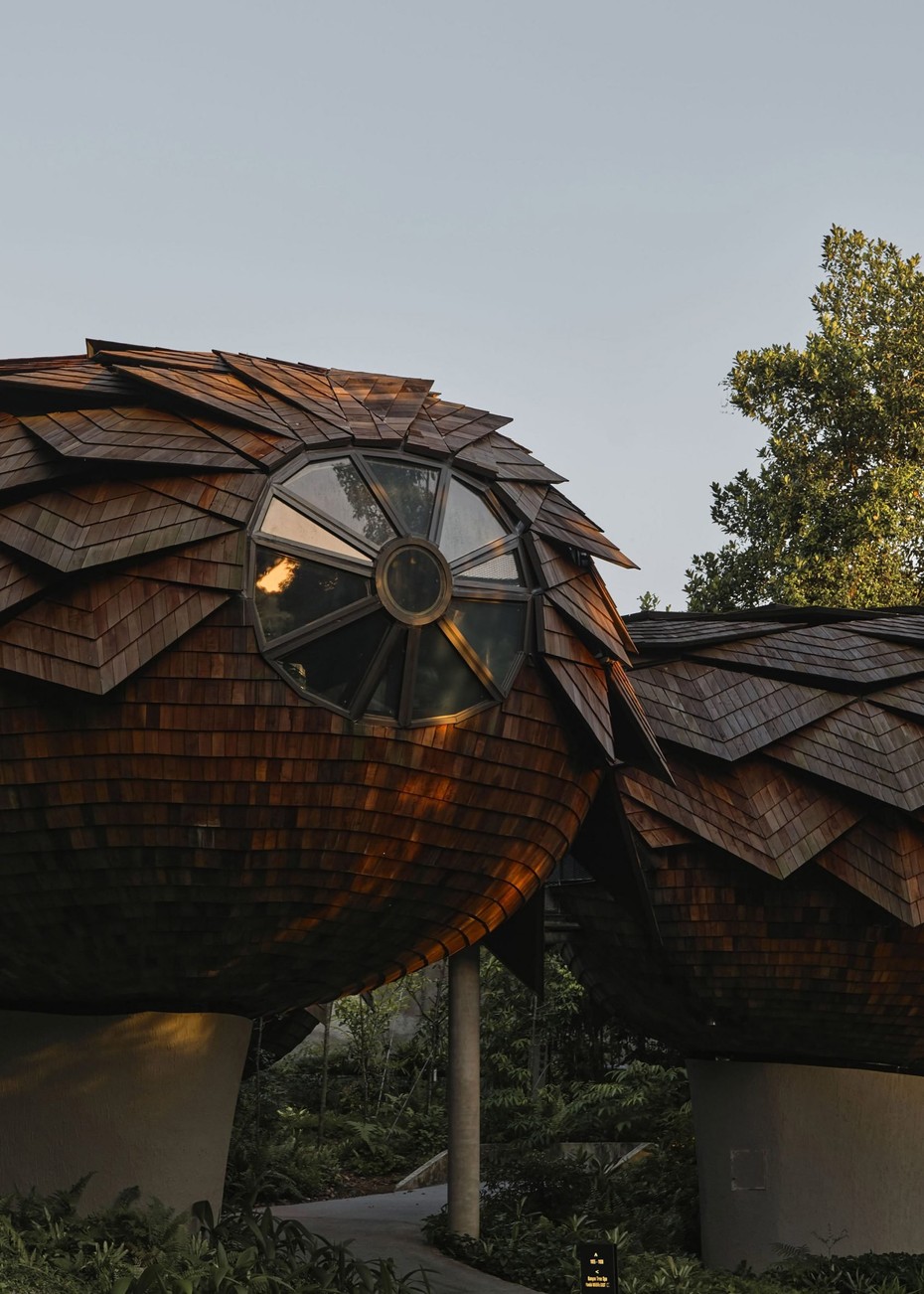 Отель Mandai Rainforest Resort вид четвертый