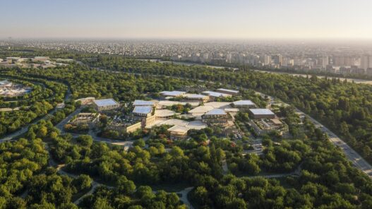 Проект Baghdad Sustainable Forests вид пятый