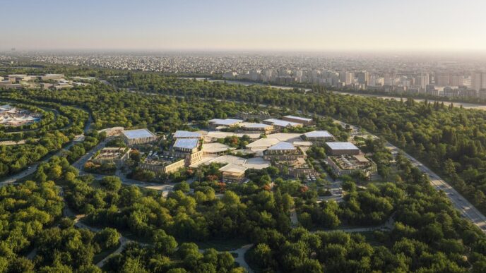 Проект Baghdad Sustainable Forests вид пятый