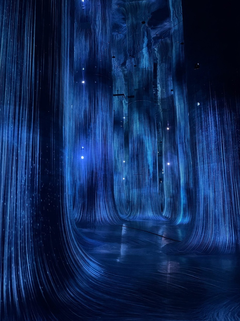 Галерея TeamLab Phenomena Abu Dhabi вид первый