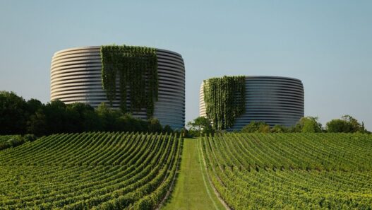 Проект дата-центра Stone Cloud вид третий