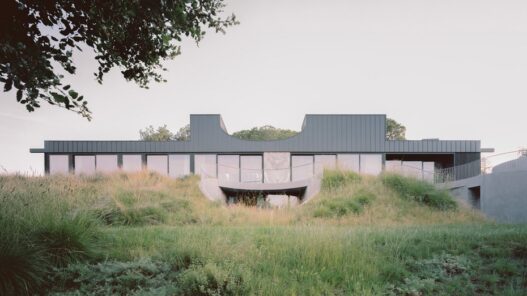 Дом House of Horns вид девятый