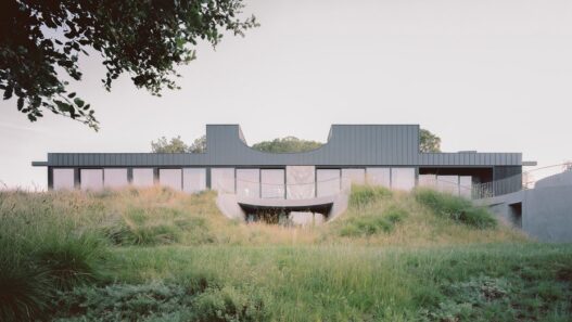 Дом House of Horns вид девятый