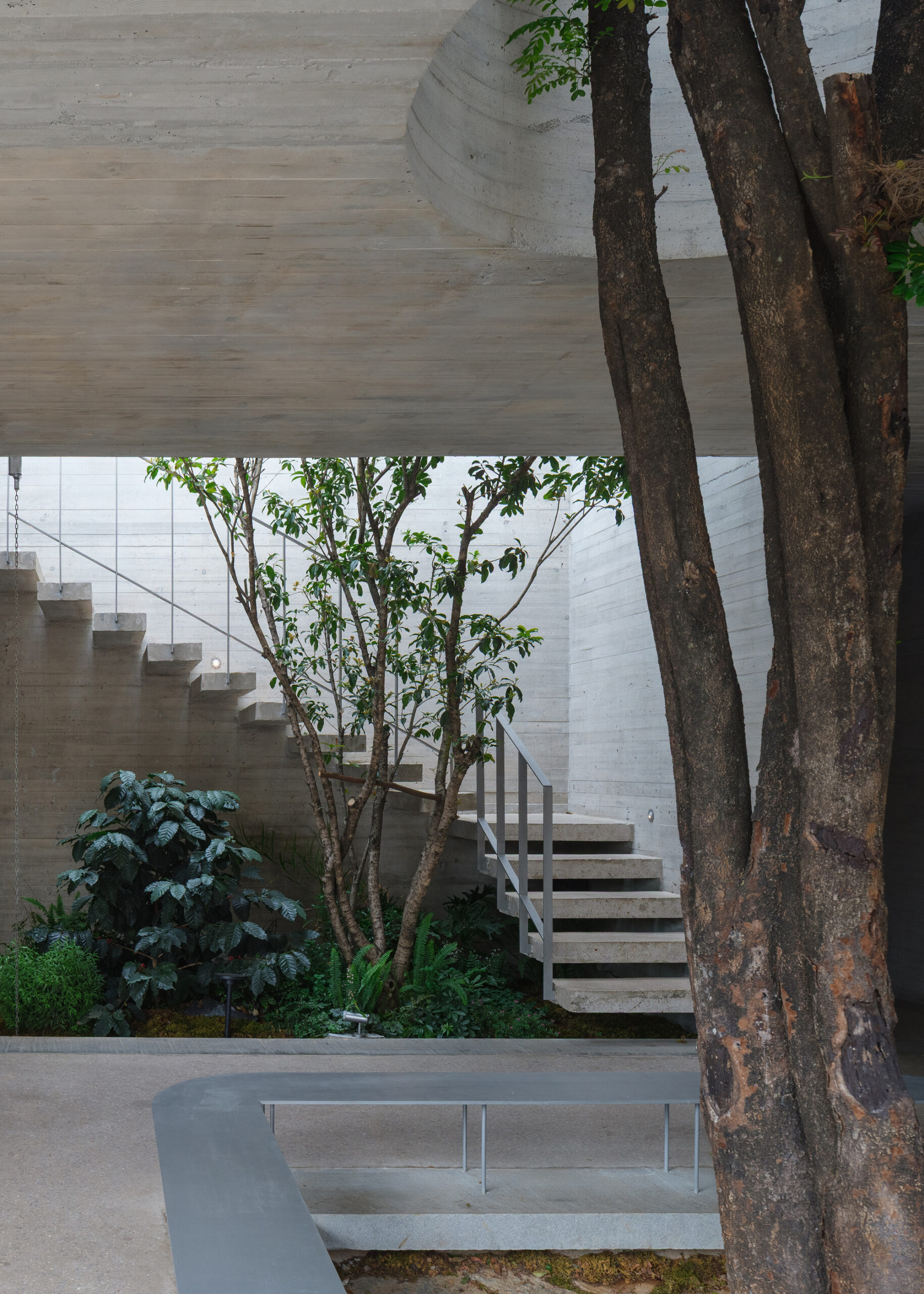 Voiceless Coffee · Sensory Lab / No10-Architects