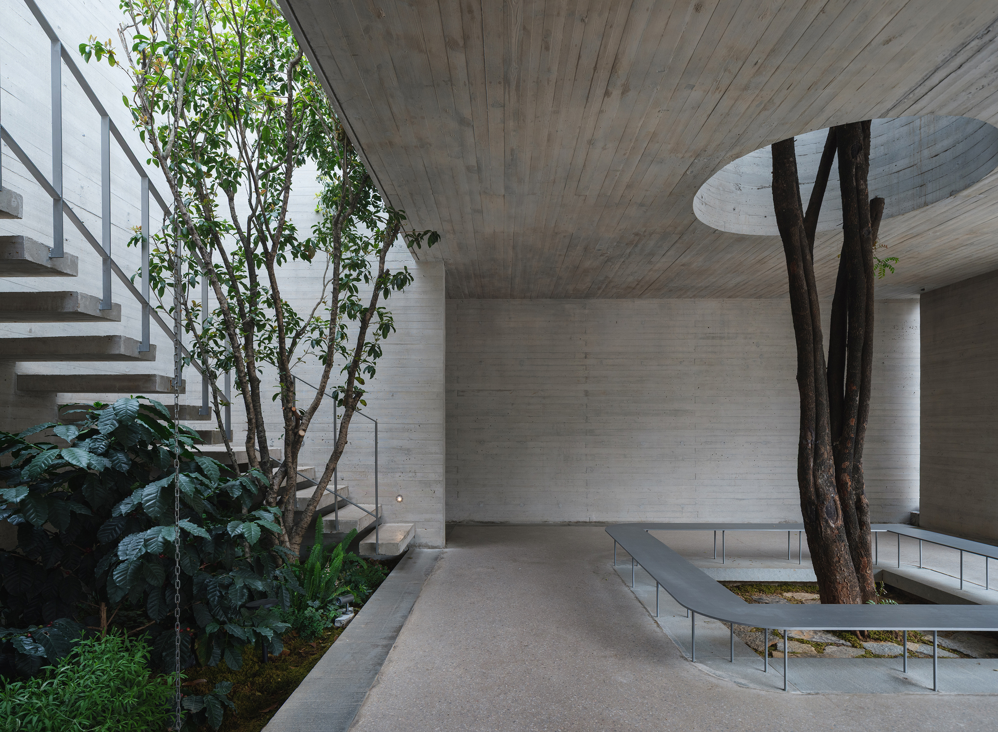 Voiceless Coffee · Sensory Lab / No10-Architects