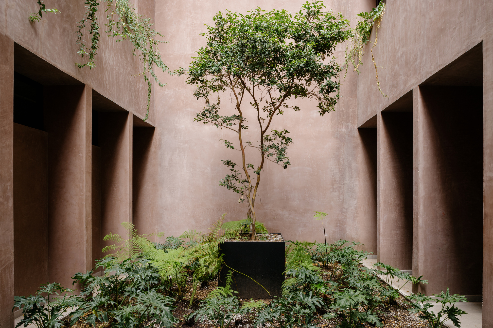 Londres 187 Building / CCA | Bernardo Quinzaños + Olga Romano