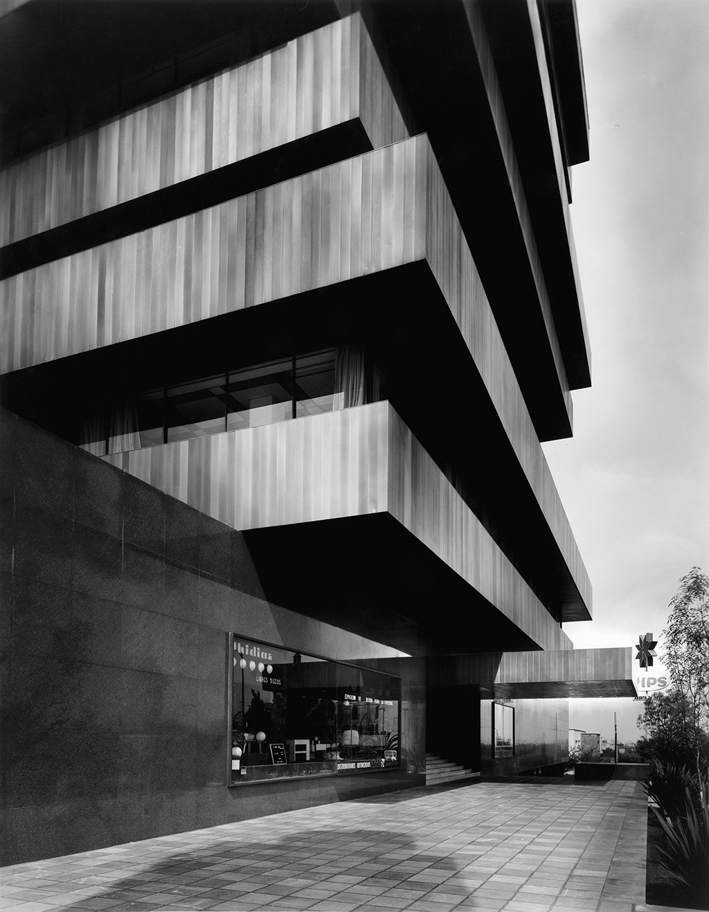 Palmas 555 / Sordo Madaleno Arquitectos