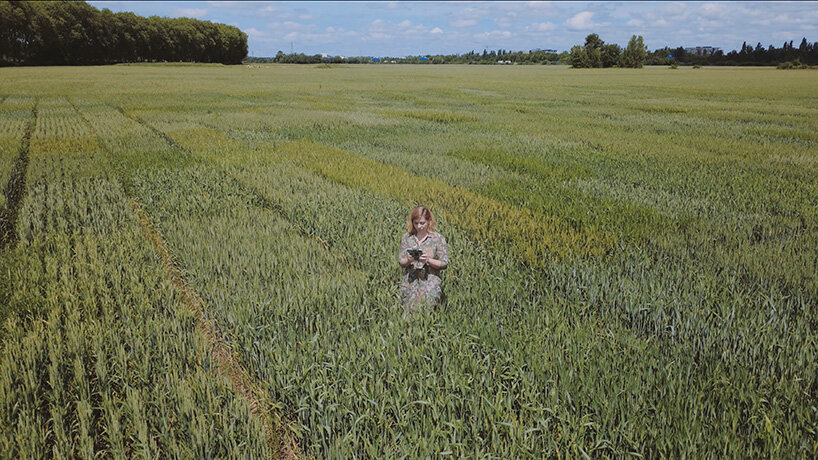 Алмудена Ромеро выращивает фотографию как живой сельскохозяйственный ландшафт