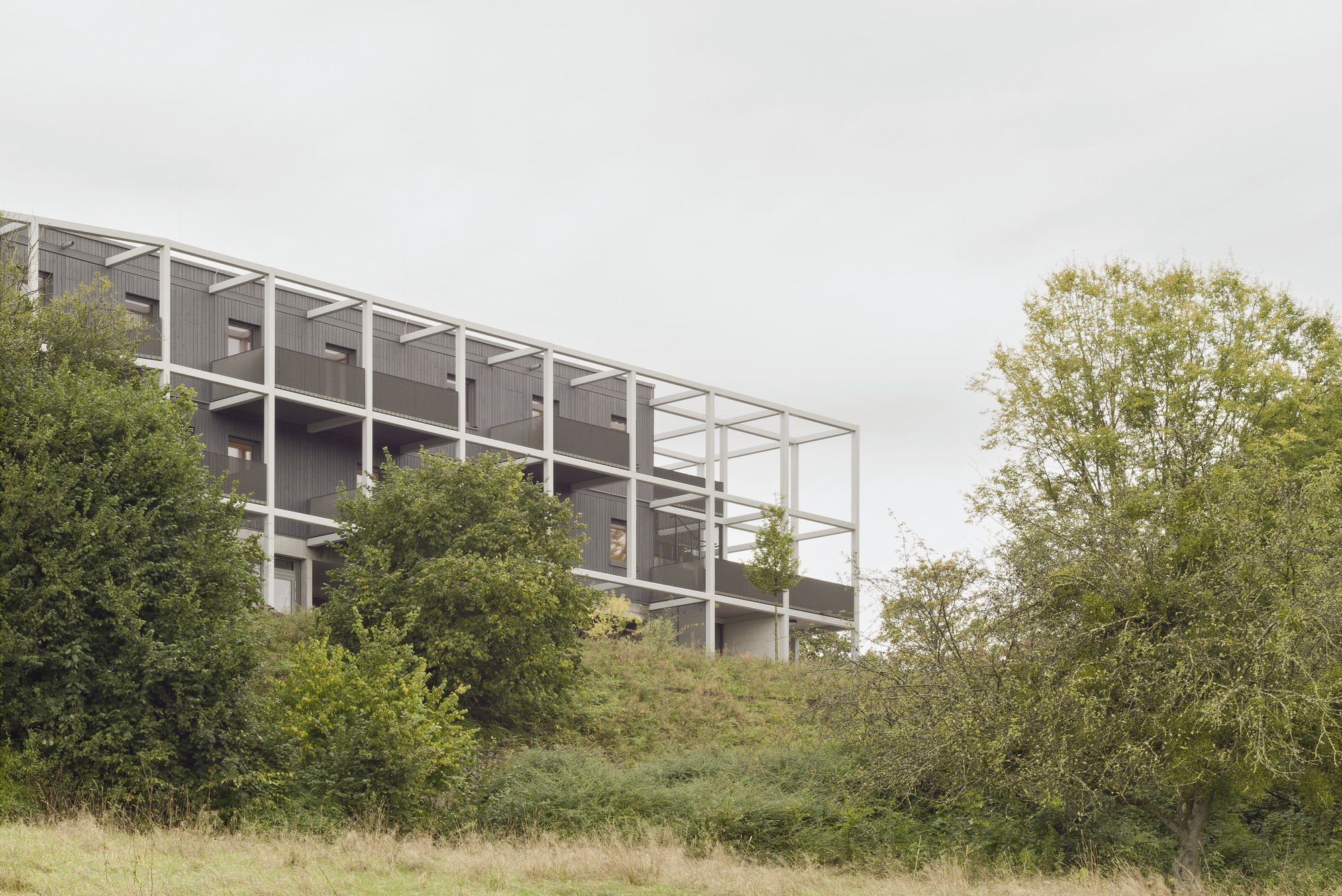 Flexible Dormitory / Atelier Kaiser Shen: гибкое общежитие для доступного и приёмного жилья в Шёнаихе