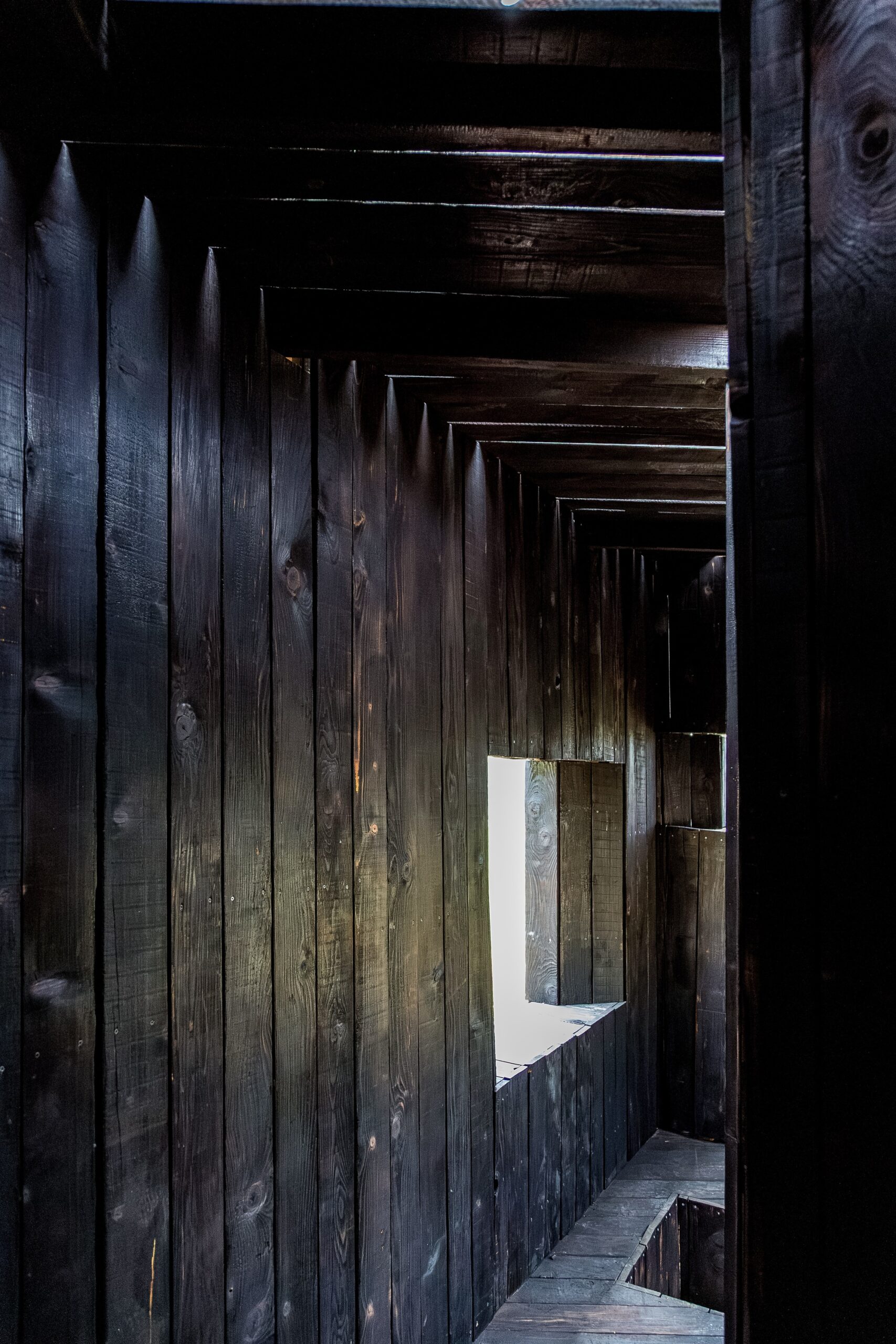 Black Thought Pavilion / Alberto Collet + Çisem Nur Yldirim + MEDS