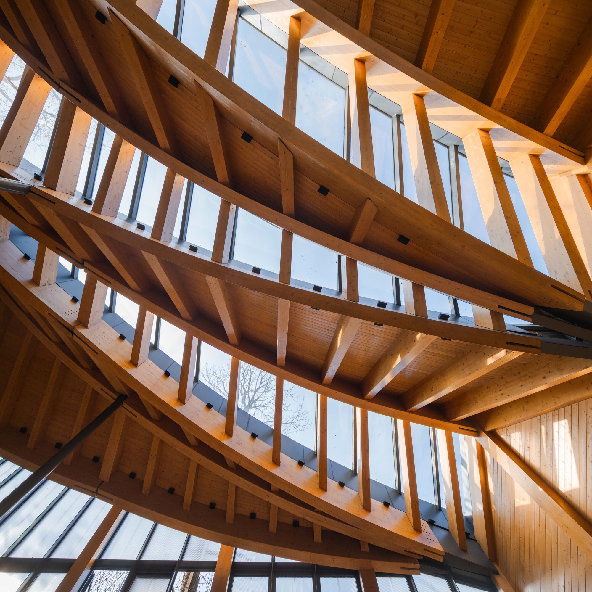 Carpenter's Home / Primary Architects — мастерская и общественный центр в Синьяне