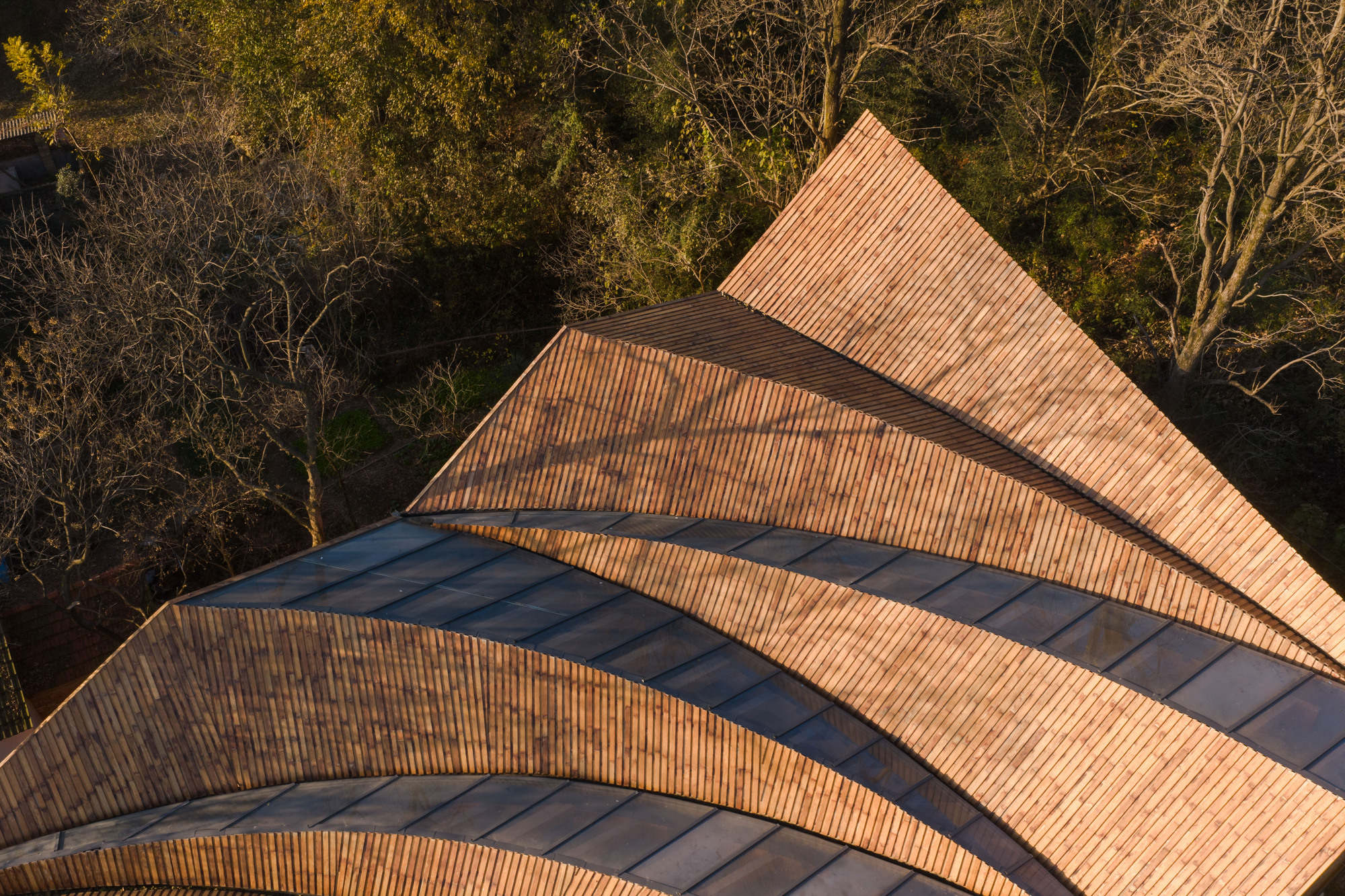 Carpenter's Home / Primary Architects — мастерская и общественный центр в Синьяне