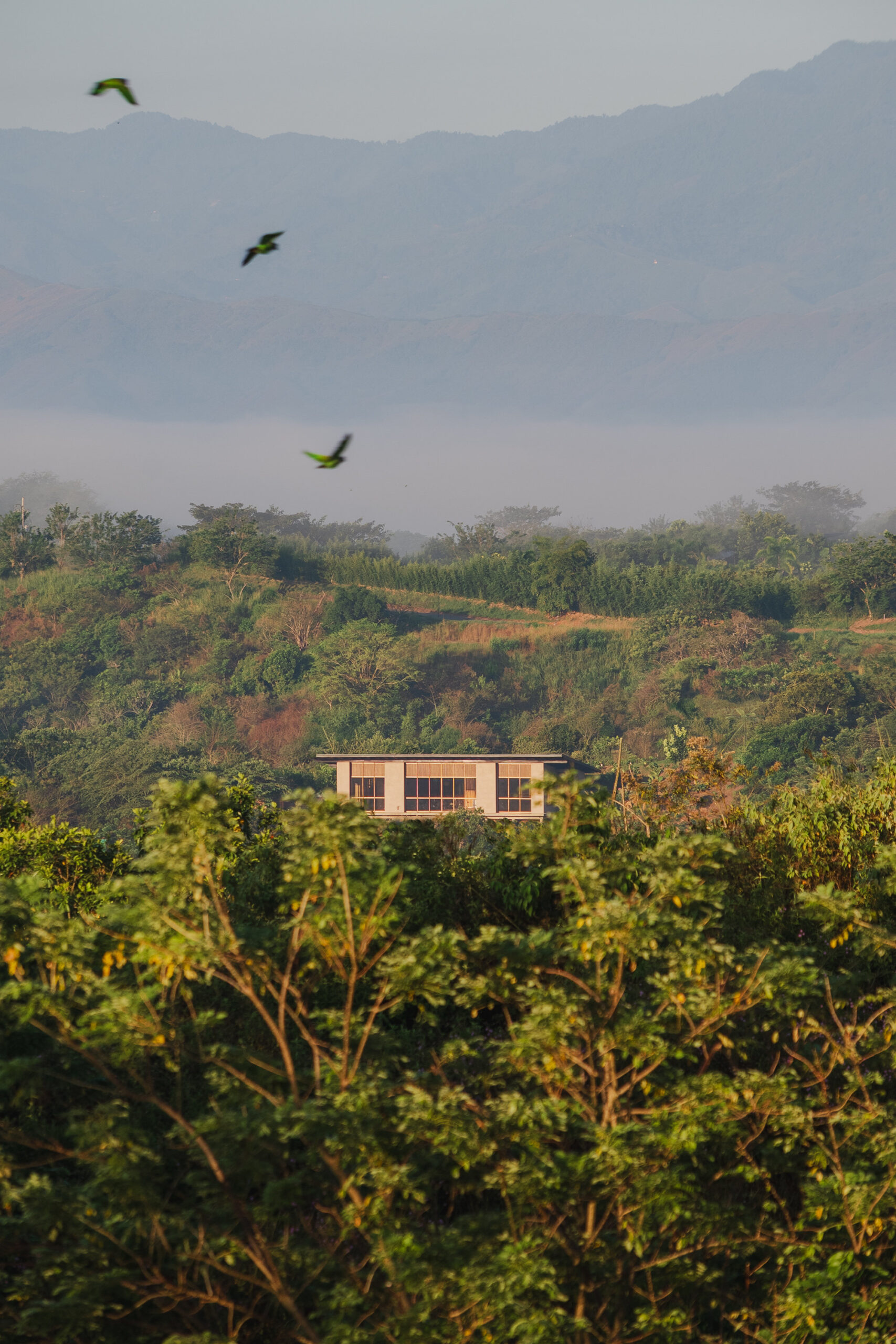Clay House / Norenaarquitectos