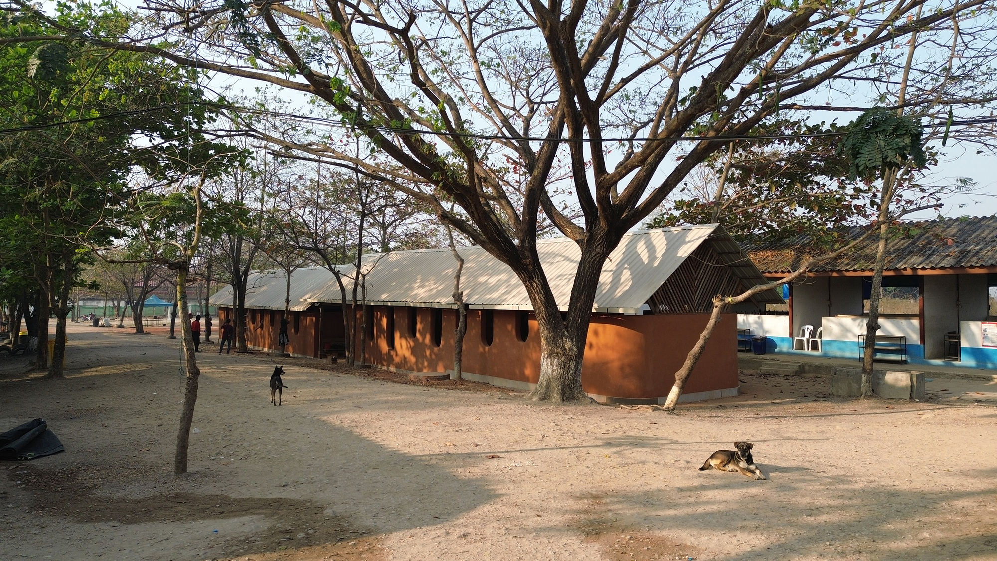 Классы для New Day School School / Simple Architecture