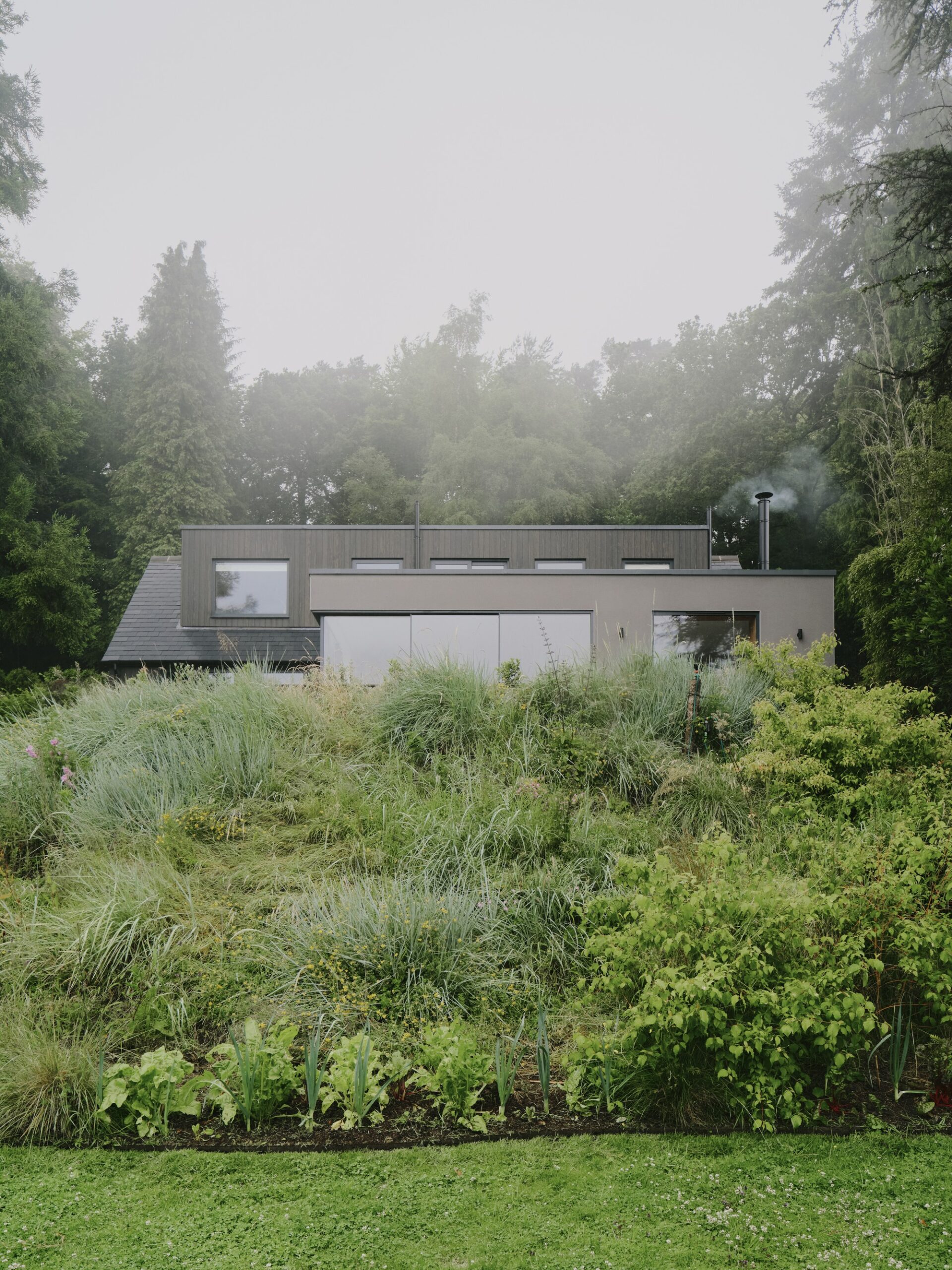 Beech Cottage / MiMStudios