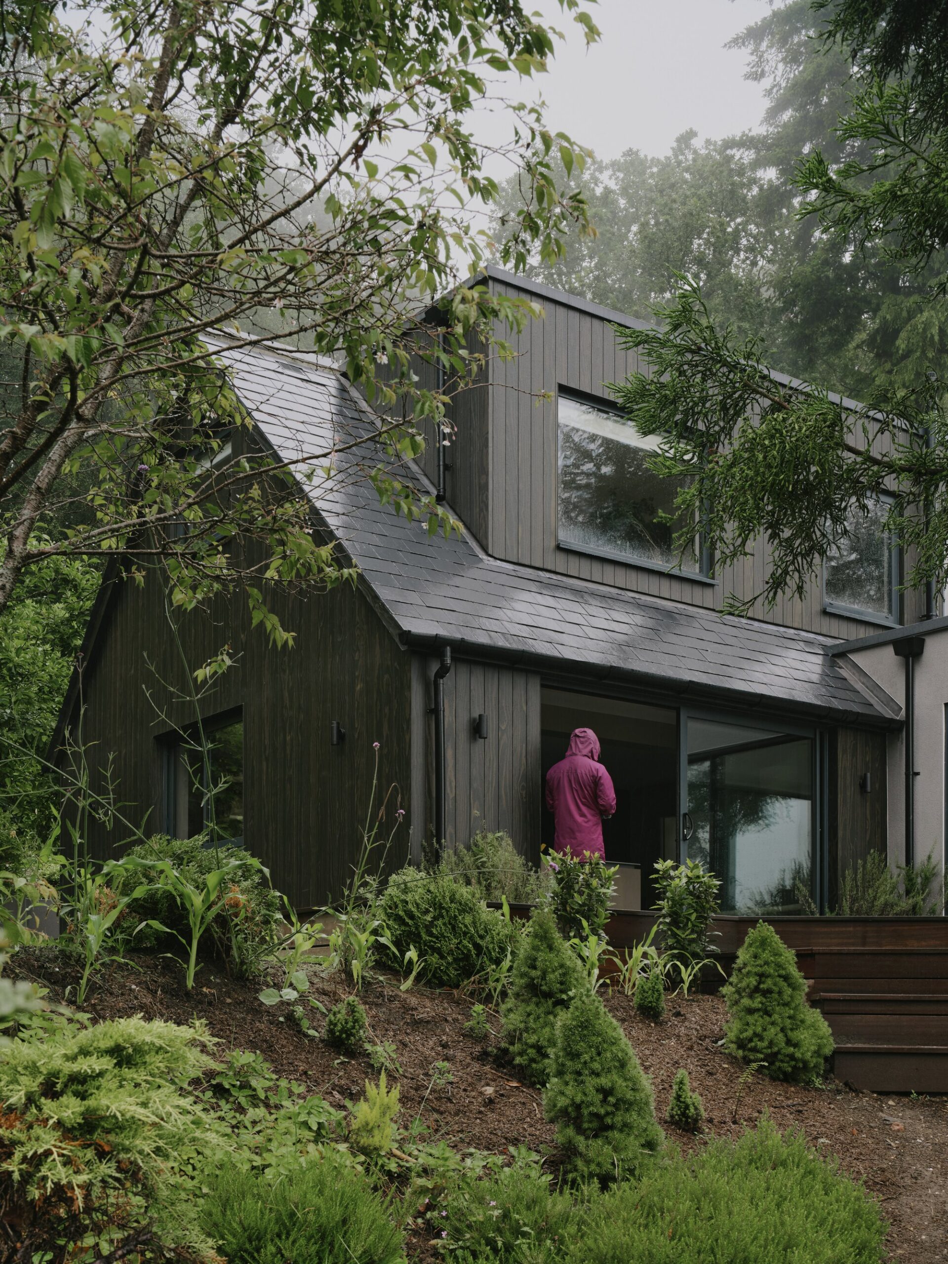Beech Cottage / MiMStudios