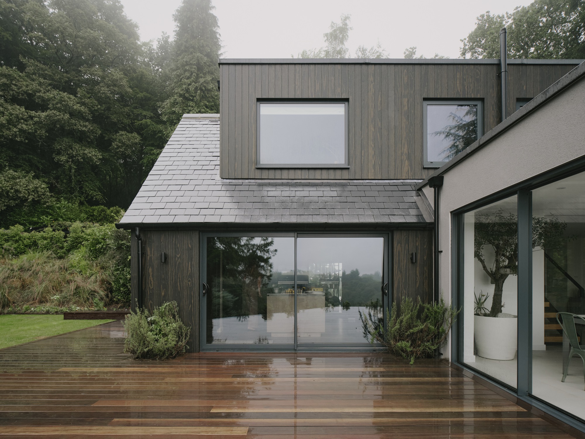 Beech Cottage / MiMStudios
