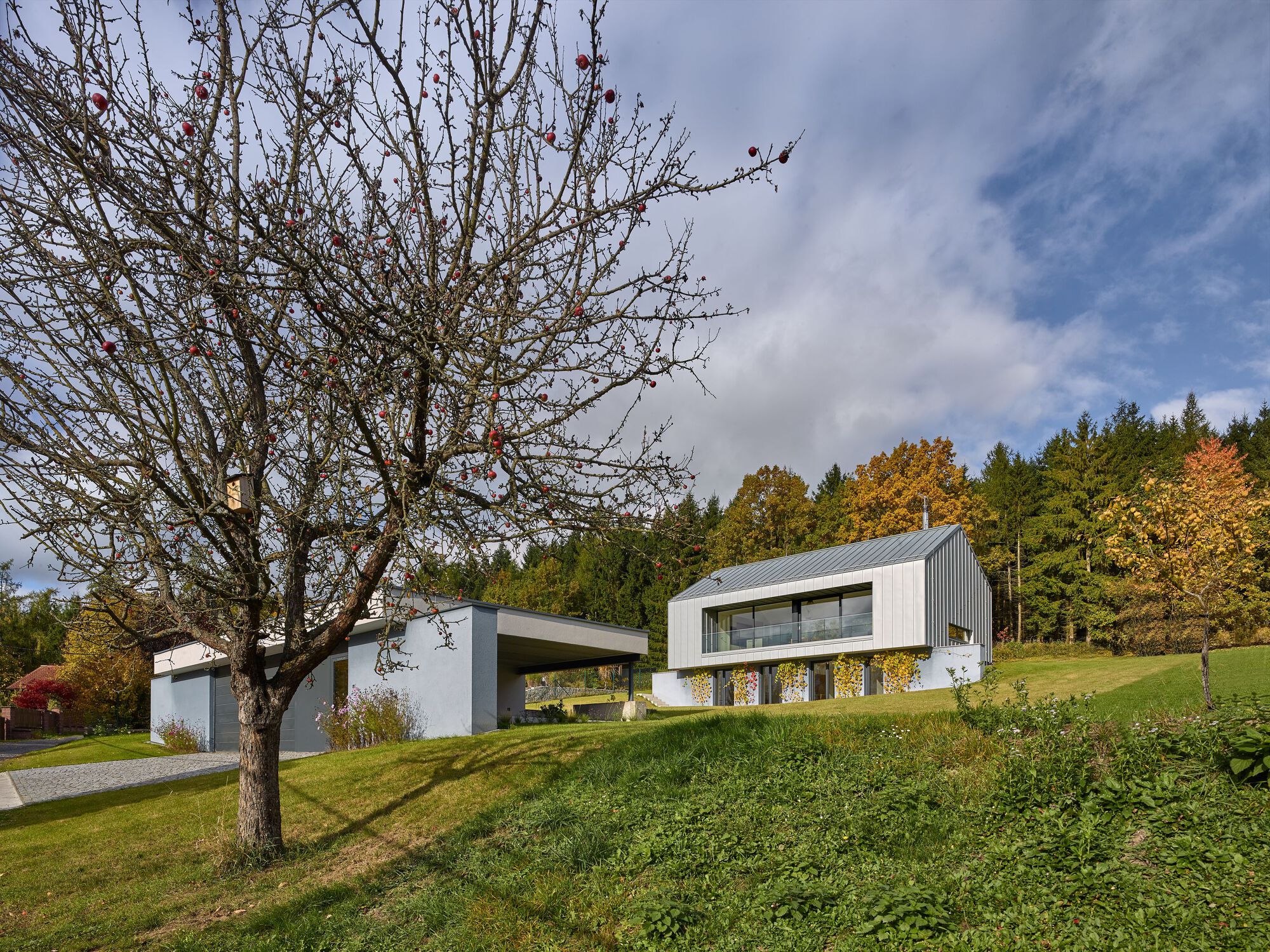 Дом с видом на горы / Stempel & Tesar Architects