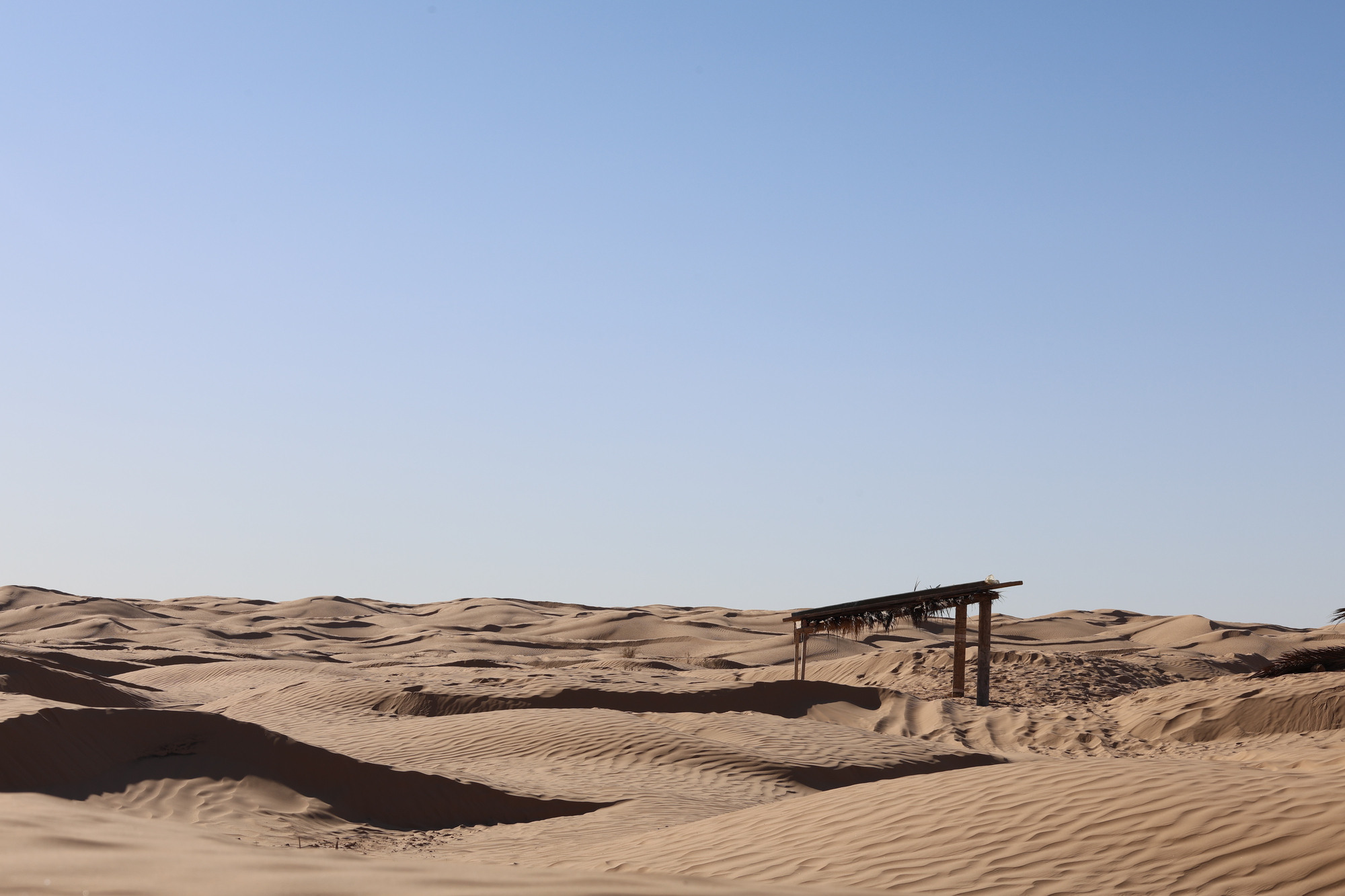 Land Of Wells: восстановление традиционного колодца в дюнах Grand Erg Oriental