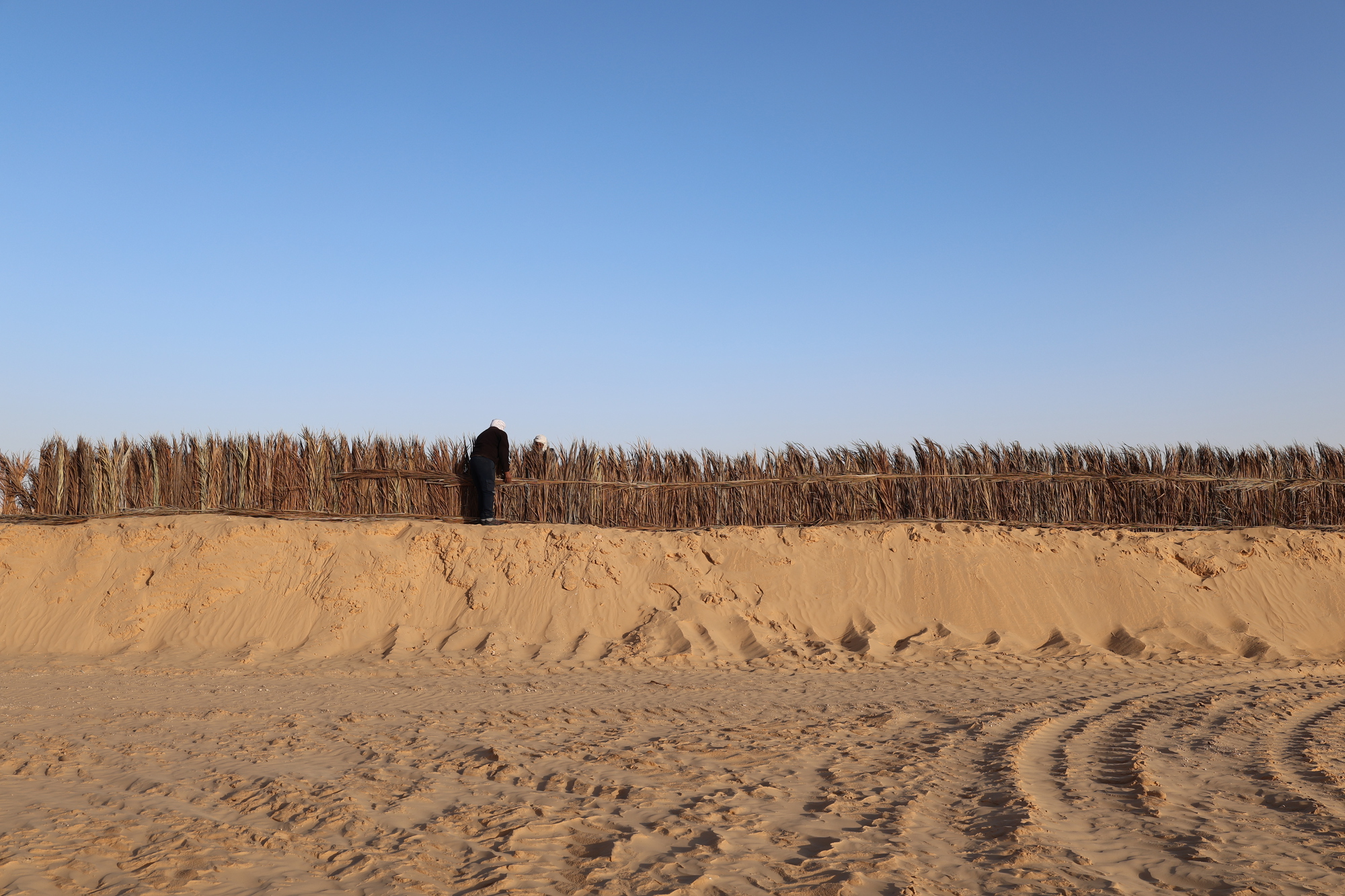 Land Of Wells: восстановление традиционного колодца в дюнах Grand Erg Oriental