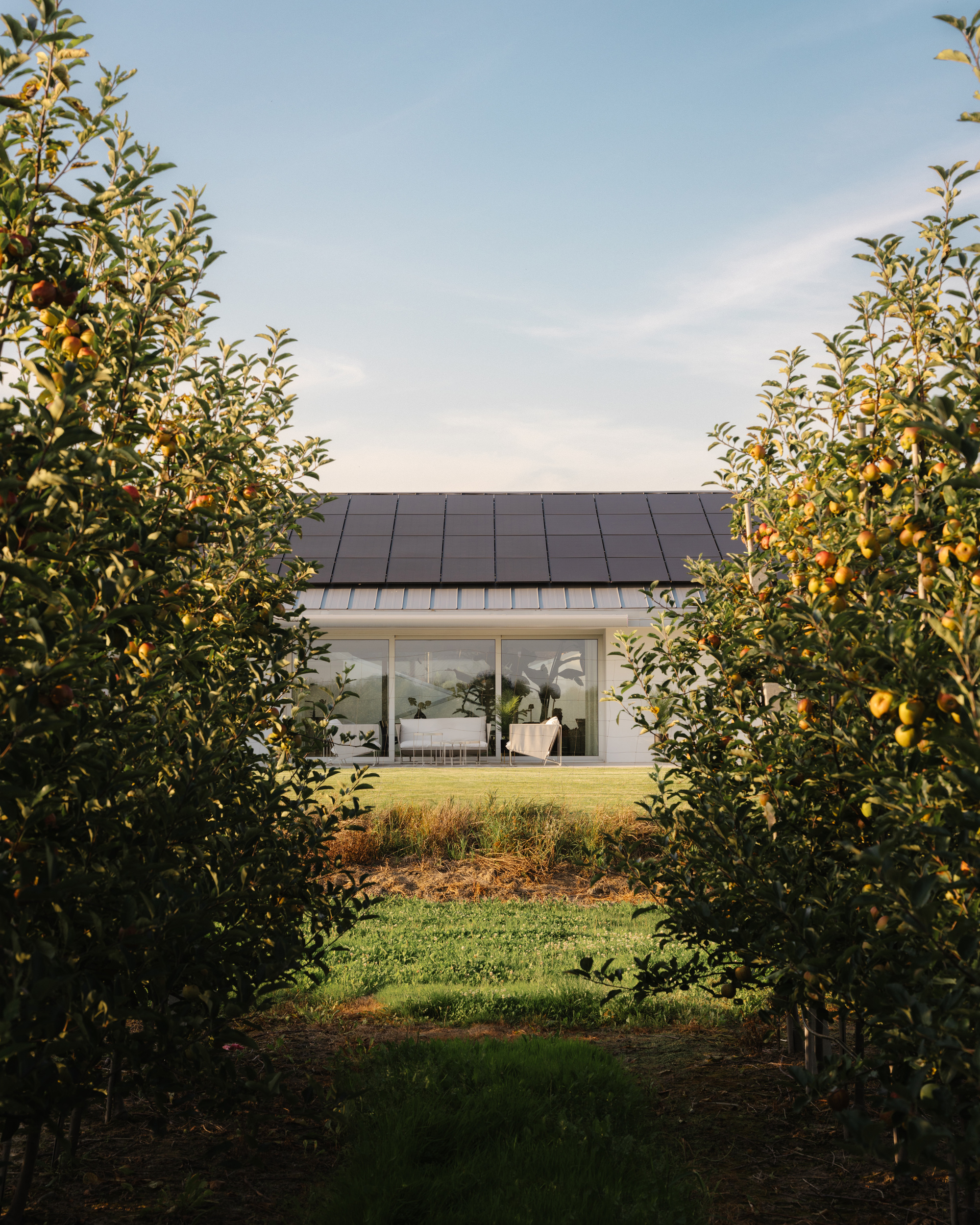 Slope House / SOURCE Architecture Studio — дом со скатной крышей, переходящей в рельеф