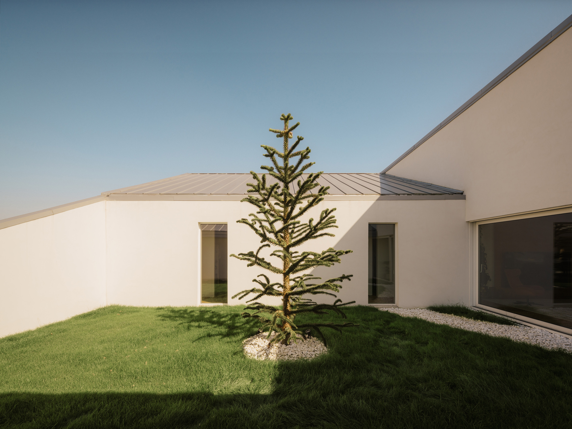 Slope House / SOURCE Architecture Studio — дом со скатной крышей, переходящей в рельеф