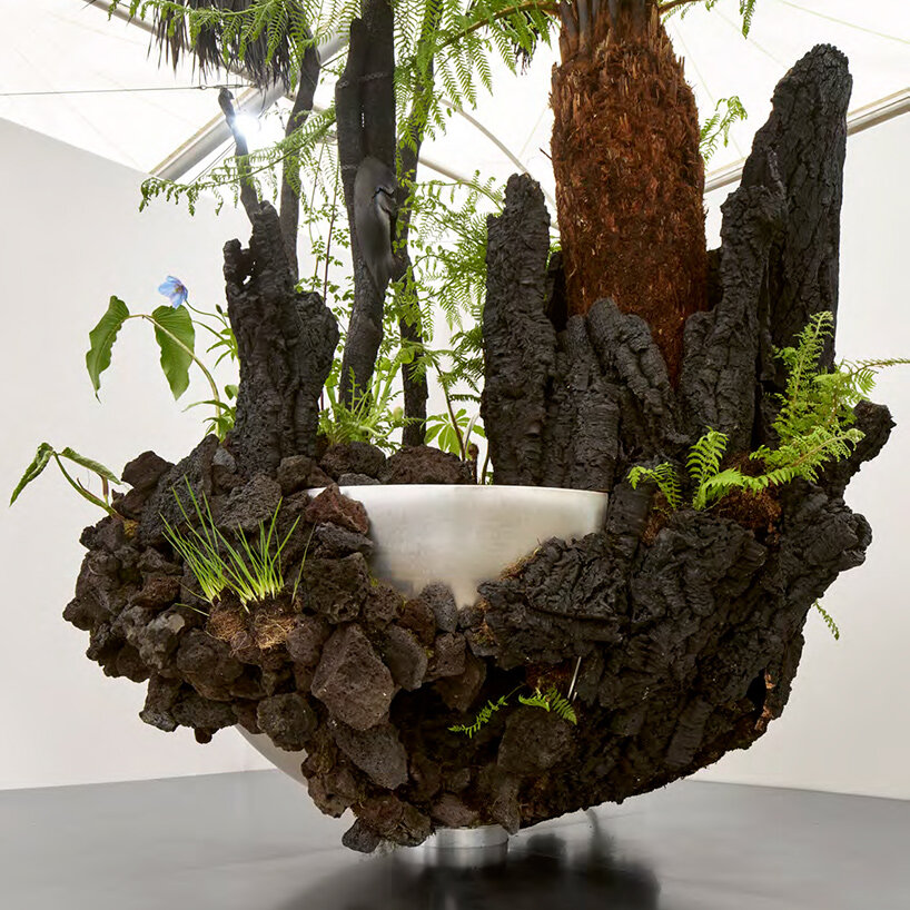 OF A представляет «Slow Dream»: тёмный ботанический ландшафт в Great Pavilion на Chelsea Flower Show 2026