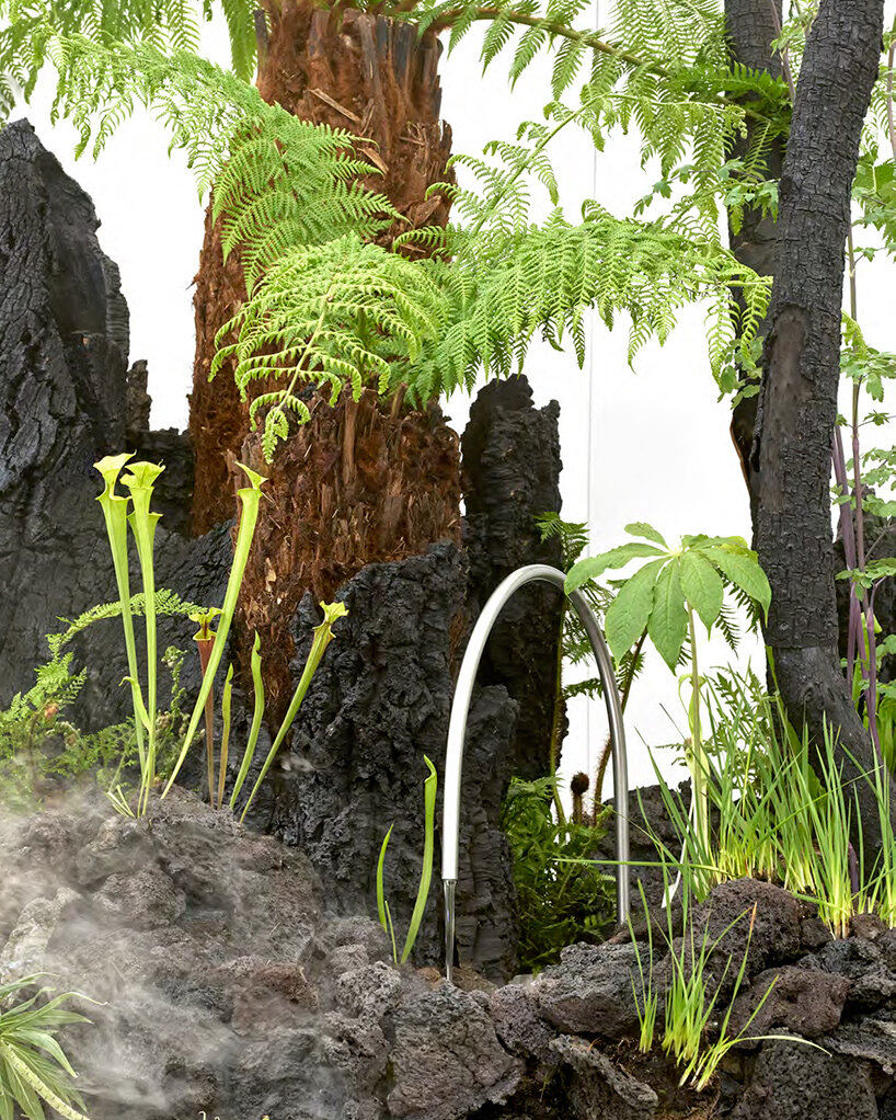 OF A представляет «Slow Dream»: тёмный ботанический ландшафт в Great Pavilion на Chelsea Flower Show 2026