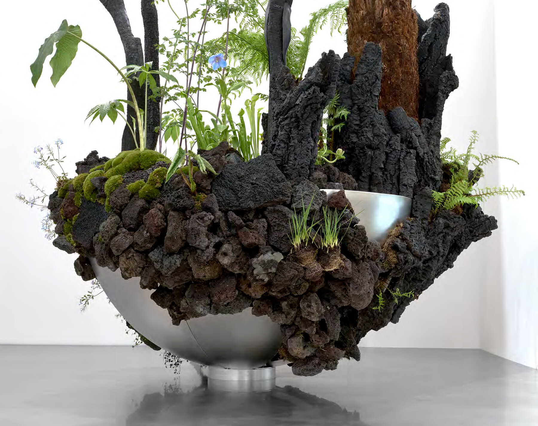 OF A представляет «Slow Dream»: тёмный ботанический ландшафт в Great Pavilion на Chelsea Flower Show 2026