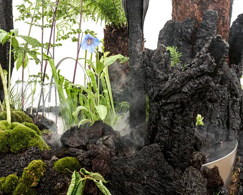 OF A представляет «Slow Dream»: тёмный ботанический ландшафт в Great Pavilion на Chelsea Flower Show 2026