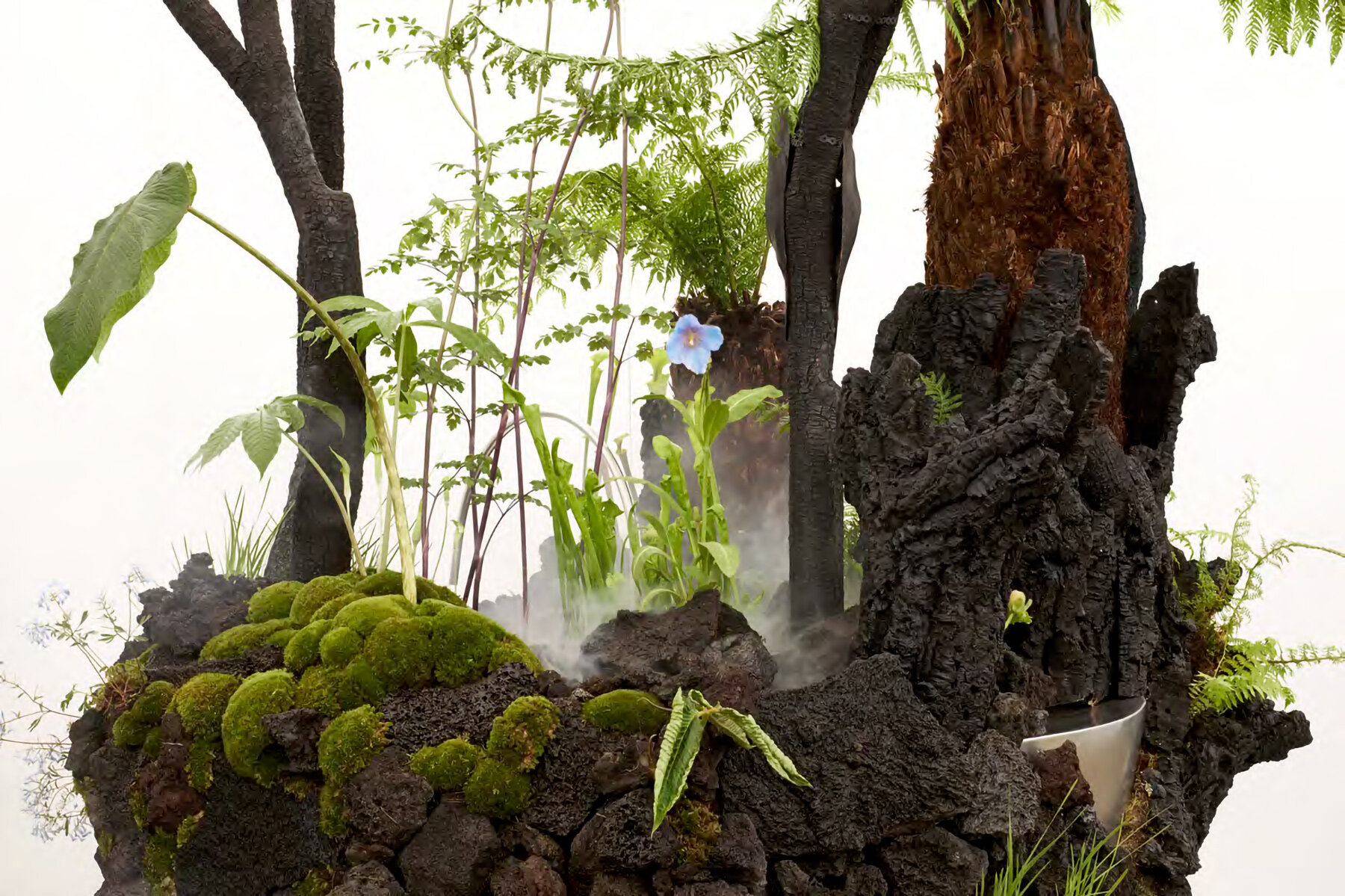 OF A представляет «Slow Dream»: тёмный ботанический ландшафт в Great Pavilion на Chelsea Flower Show 2026