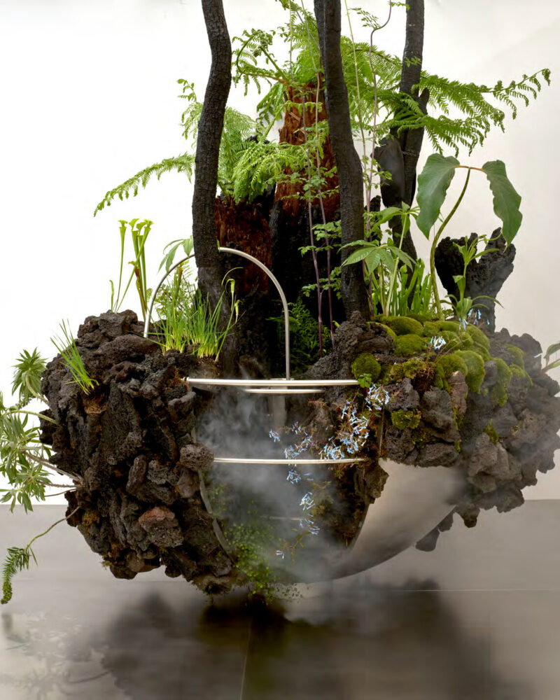OF A представляет «Slow Dream»: тёмный ботанический ландшафт в Great Pavilion на Chelsea Flower Show 2026