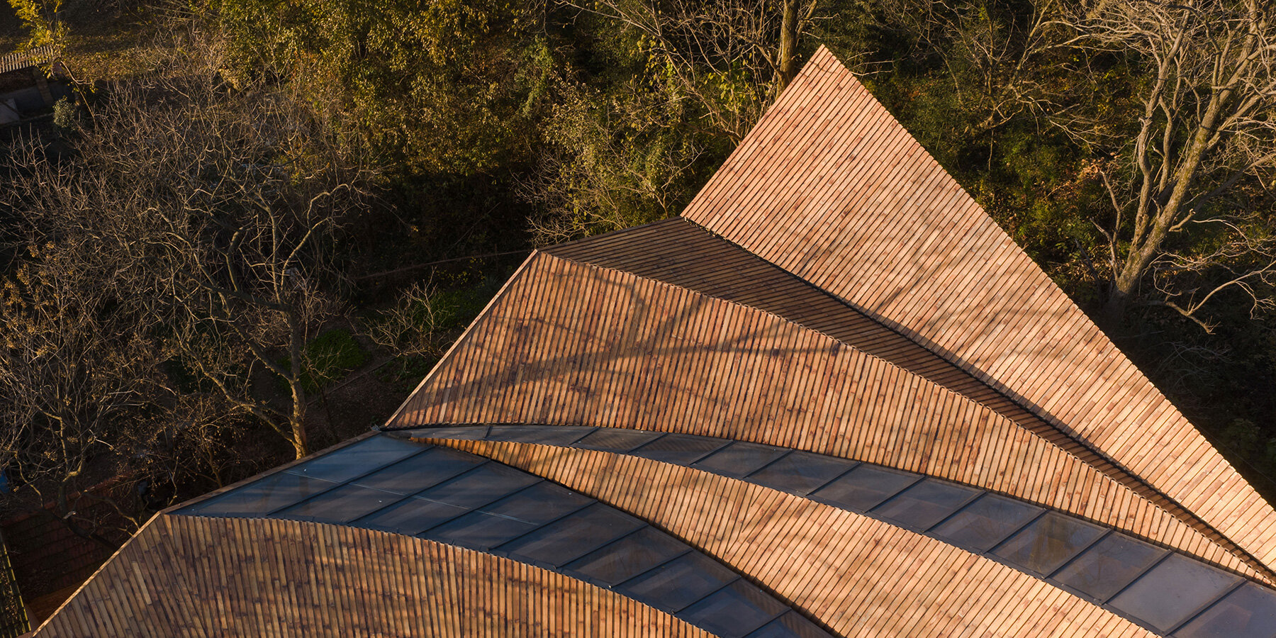 Primary Architects завершили Carpenter’s Home: деревянную мастерскую и пространство обучения в китайской деревне