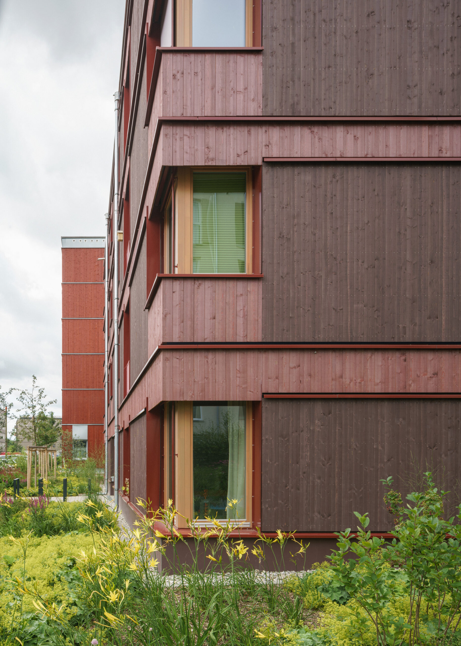 Ute-Strittmatter-Strasse — коллективное жильё в Freiham / 03 Arch. + ENEFF Architekten + Illiz Architektur + Westner Schührer Zöhrer