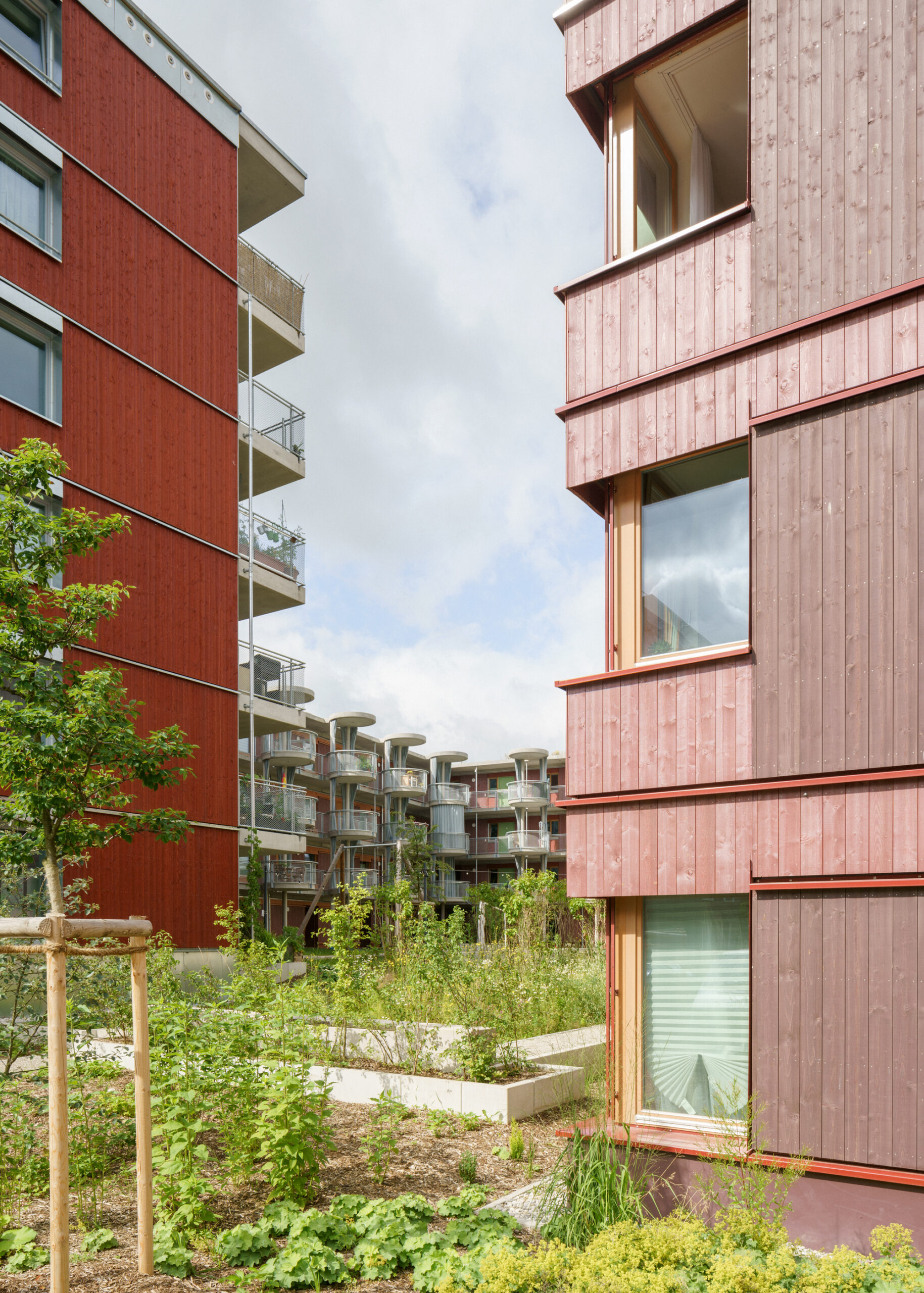 Ute-Strittmatter-Strasse — коллективное жильё в Freiham / 03 Arch. + ENEFF Architekten + Illiz Architektur + Westner Schührer Zöhrer