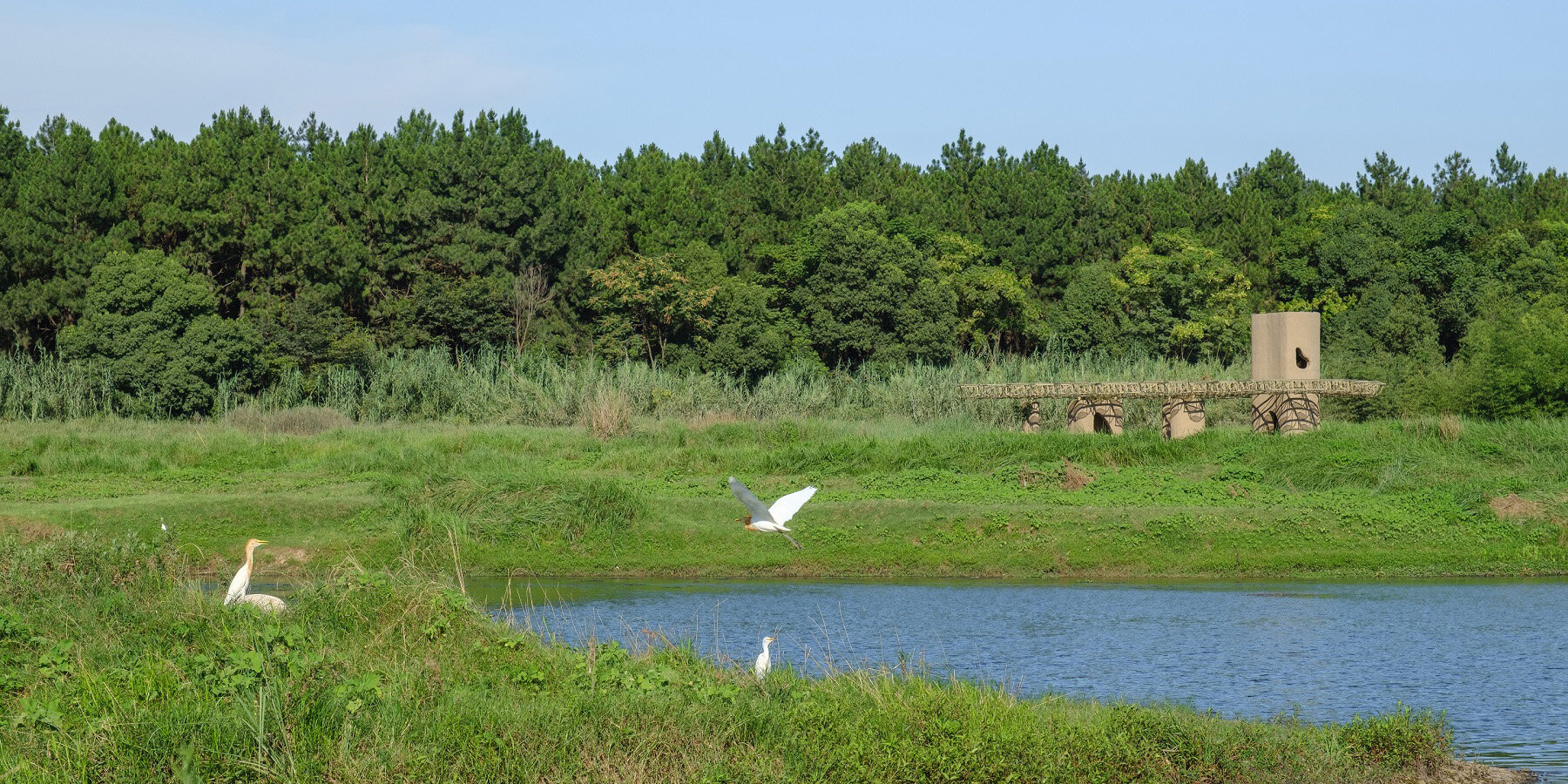 Wetland Caves от Studio 10: павильон-«пещера» в ландшафте болот Qu River