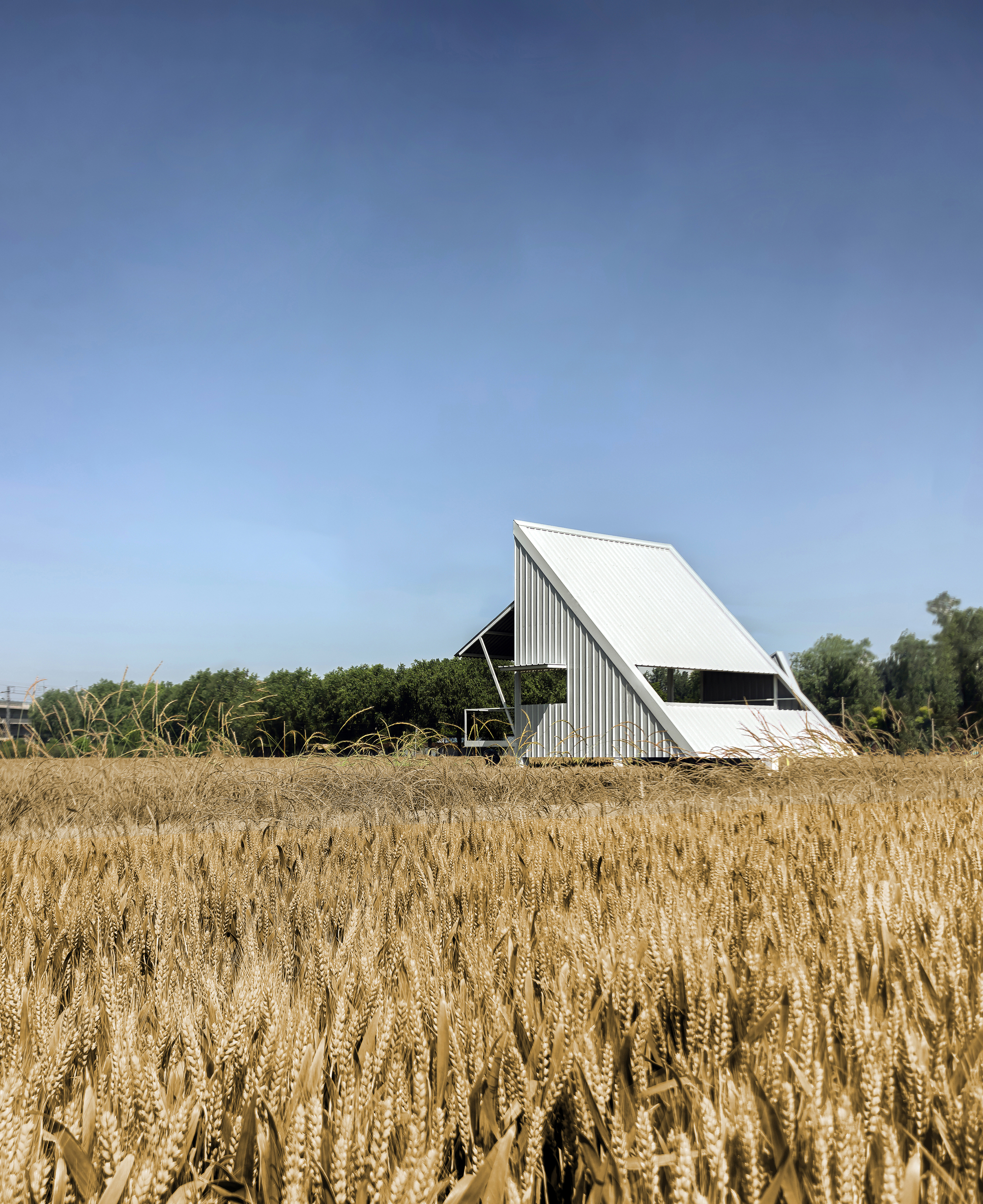 A White Barn / M.S.A.A. atelier