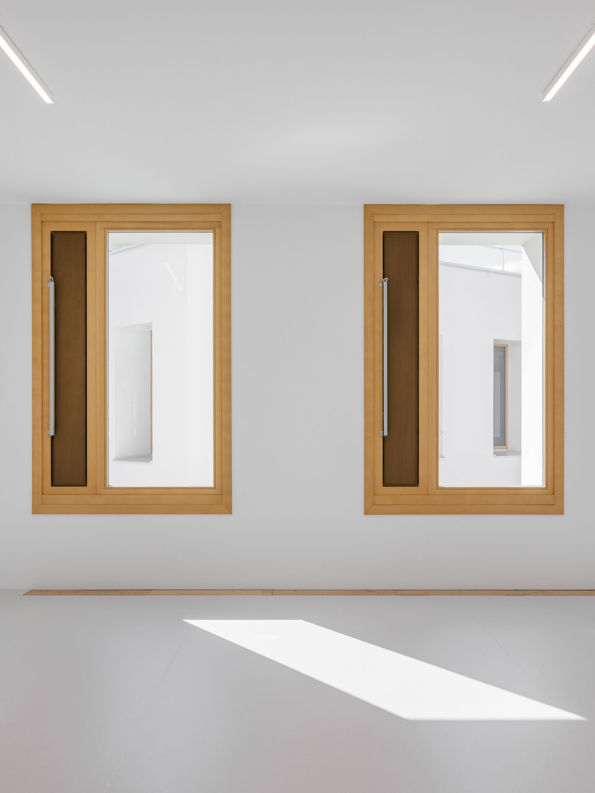 Офисное здание 2226 Robin Seestadt в Вене / Baumschlager Eberle Architekten