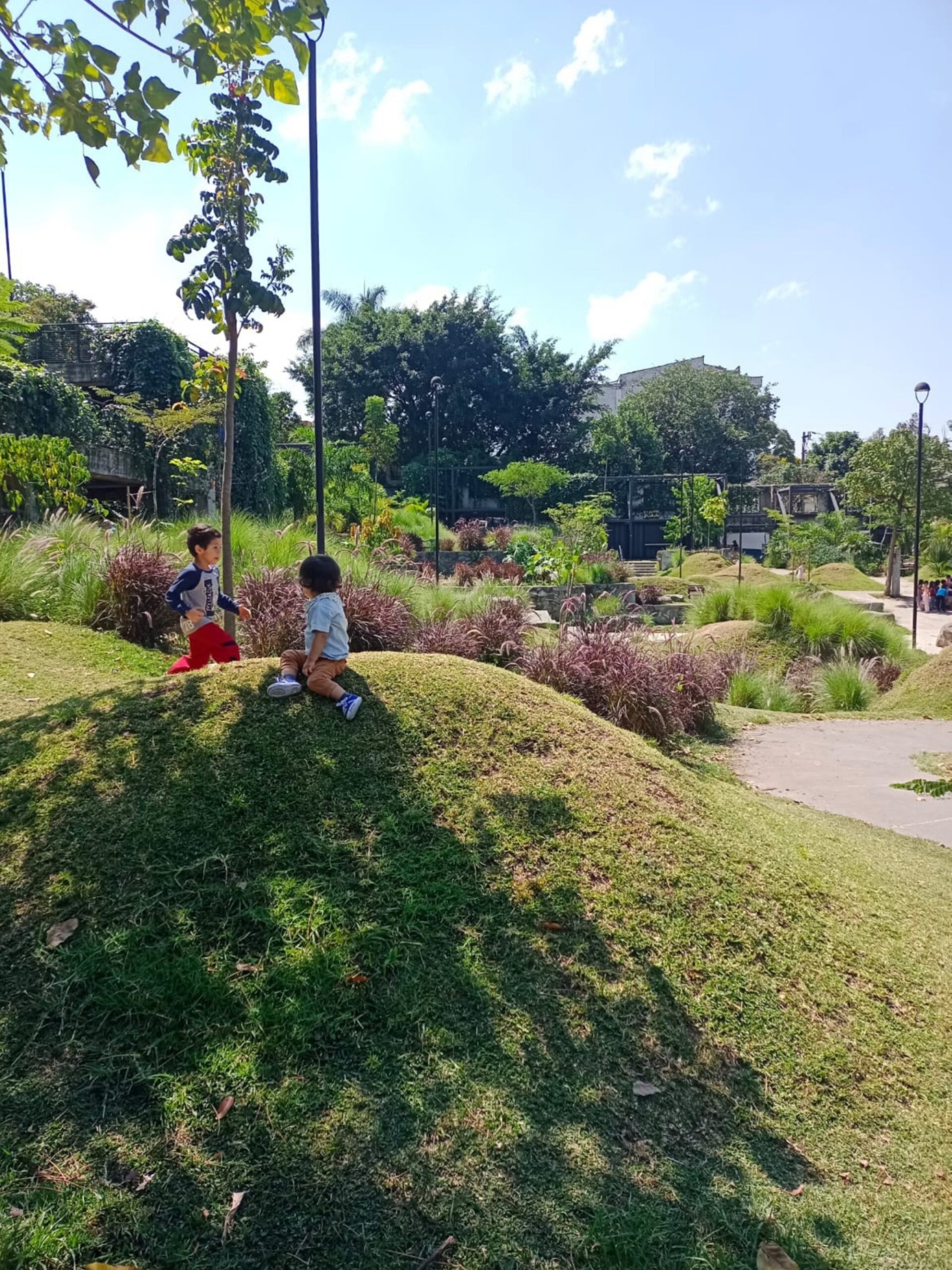 Prado Park / Edgar Mazo + CONNATURAL