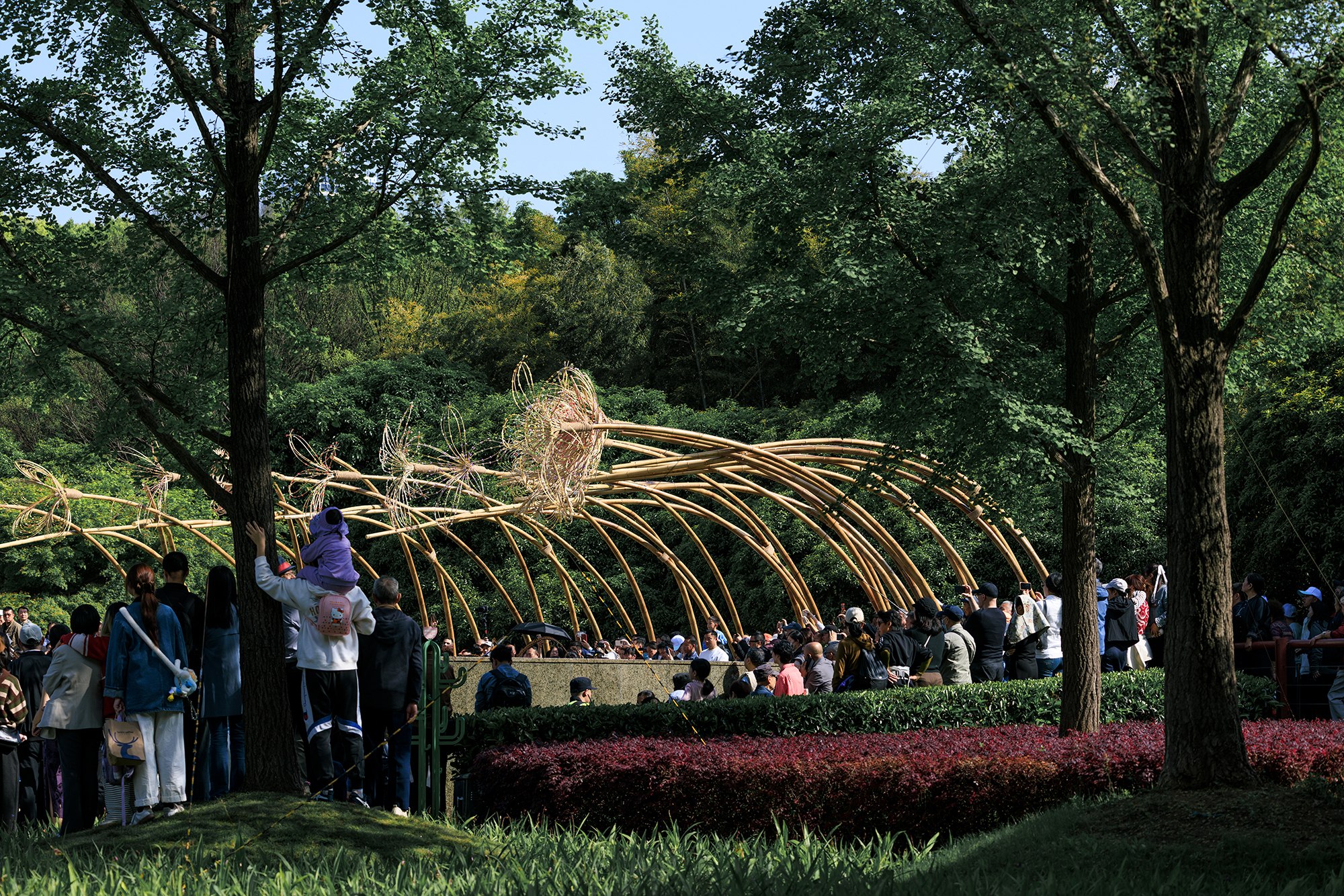 Bent by Spring / HCCH Studio