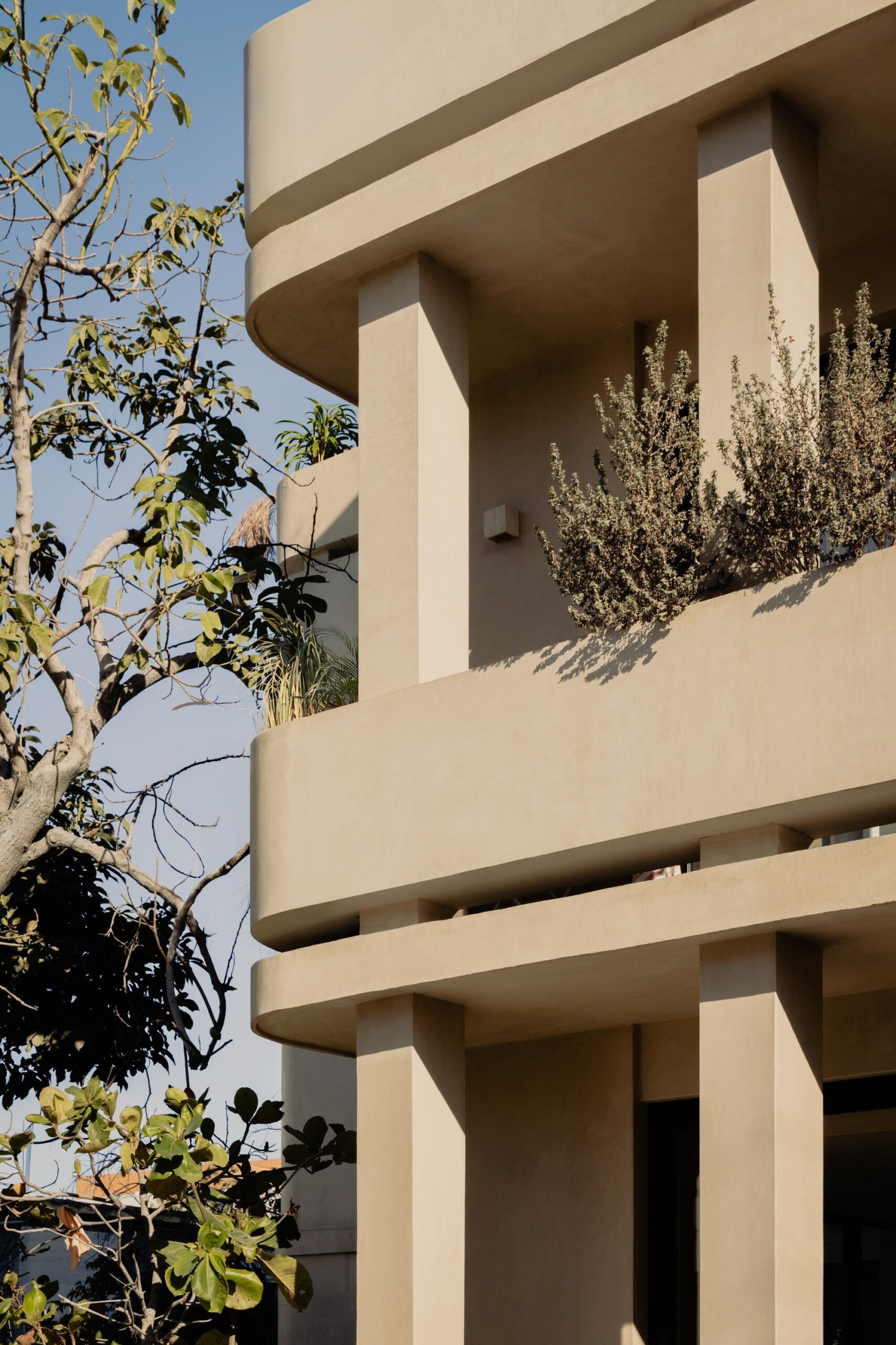 Estero Residences + Gamba café / Barde + vanVoltt