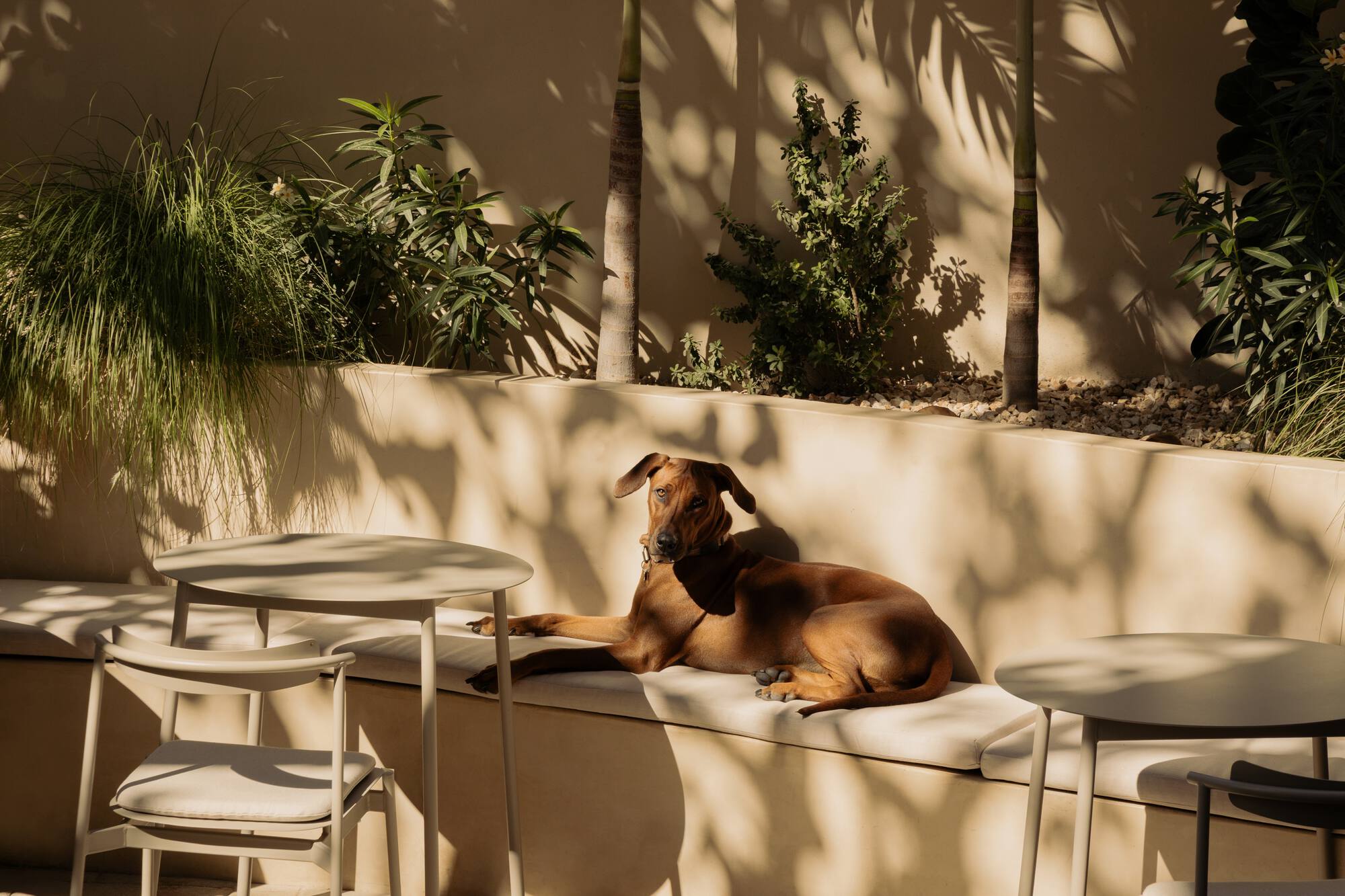 Estero Residences + Gamba café / Barde + vanVoltt