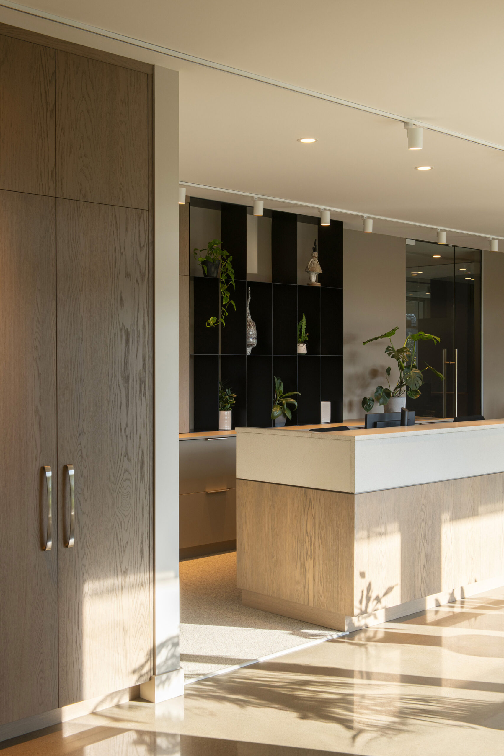 Клиника Des Cimes Dental Clinic / CARTA. Architecte + Designer