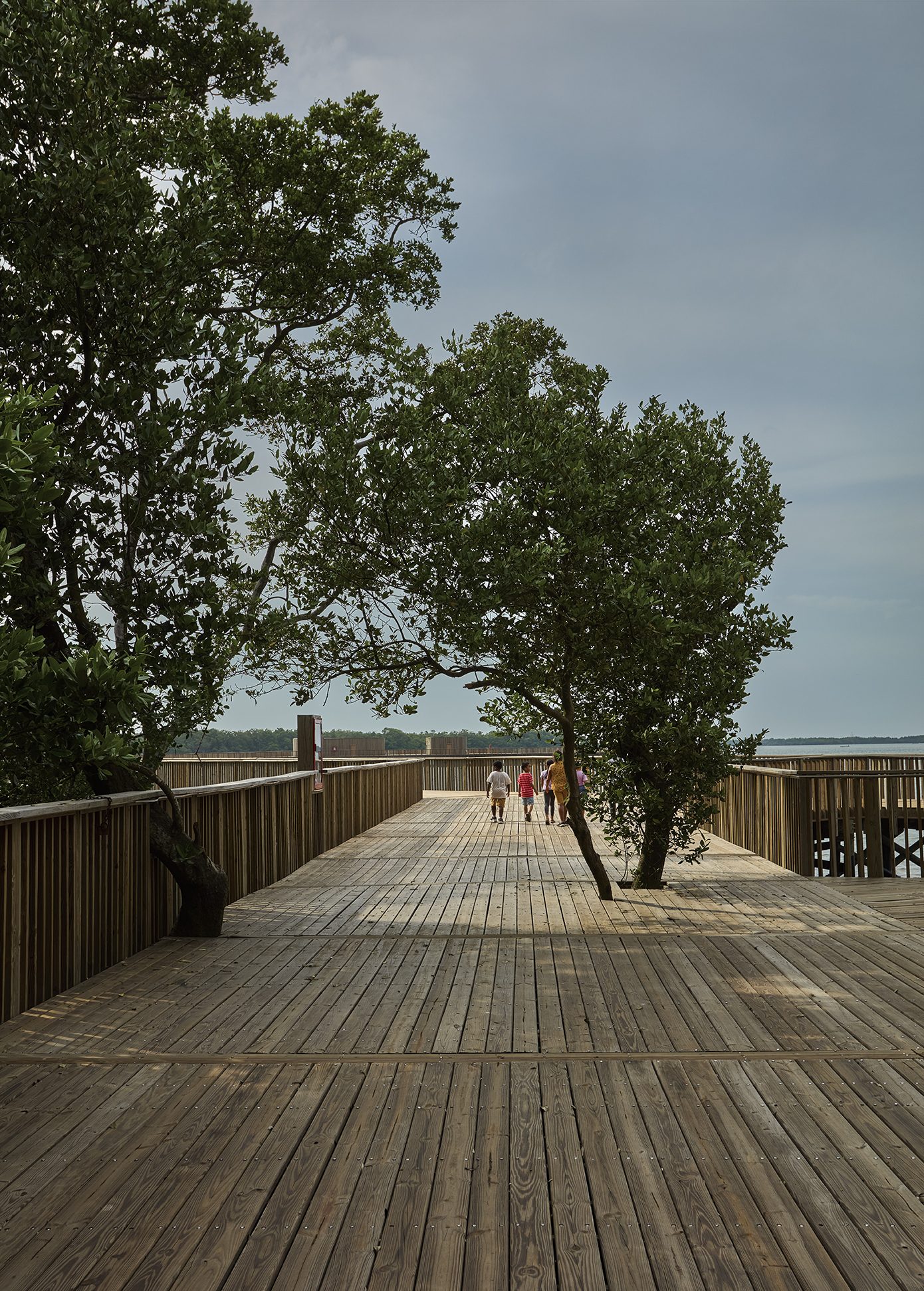 Экопарк Ciénaga de Mallorquín / DEB + El Equipo Mazzanti